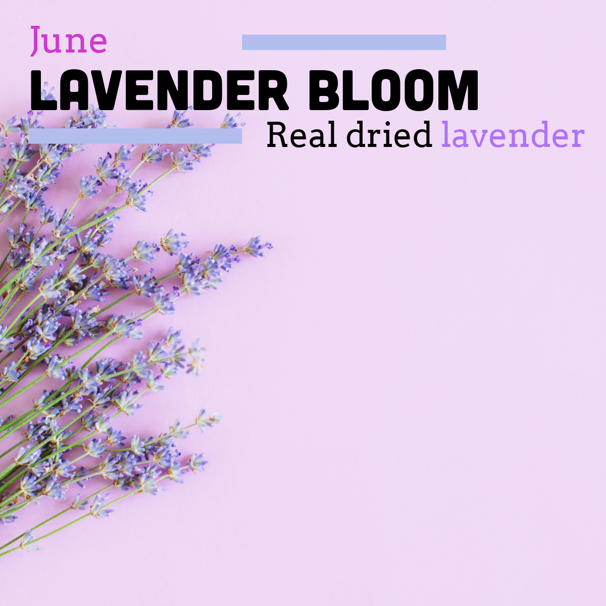 june coffee of the month is a lavender coffee
