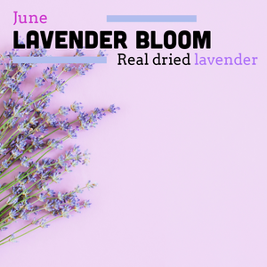 june coffee of the month is a lavender coffee