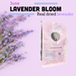 Lavender bloom package with lavender flowers on a pink background